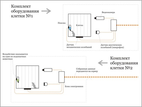 %D1%81%D0%BB%D0%B0%D0%B9%D0%B46.jpg %D1%81%D0%BB%D0%B0%D0%B9%D0%B46.jpg